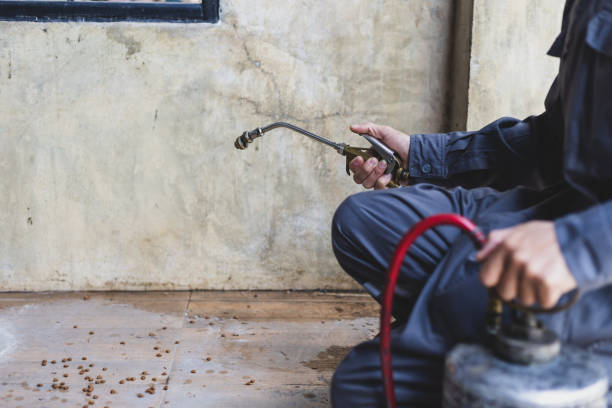 Best Pest Prevention Services  in Soh Salt Lake, UT